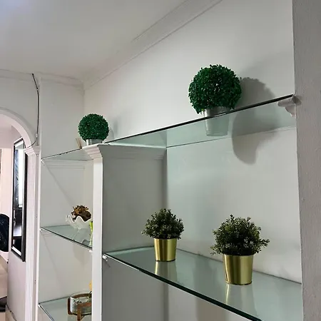 Apartamento Aprtamento Ctg *